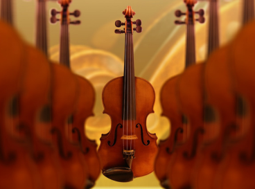 Violon au centre mis en valeur parmi d'autres en arrière-plan